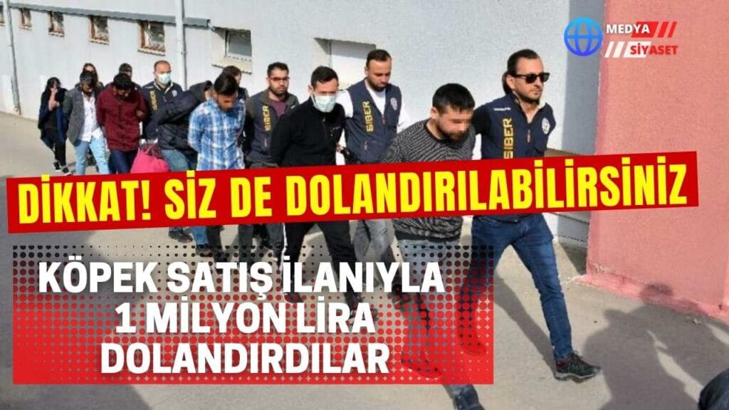 Köpek satış ilanıyla 1 milyon lira dolandırdılar