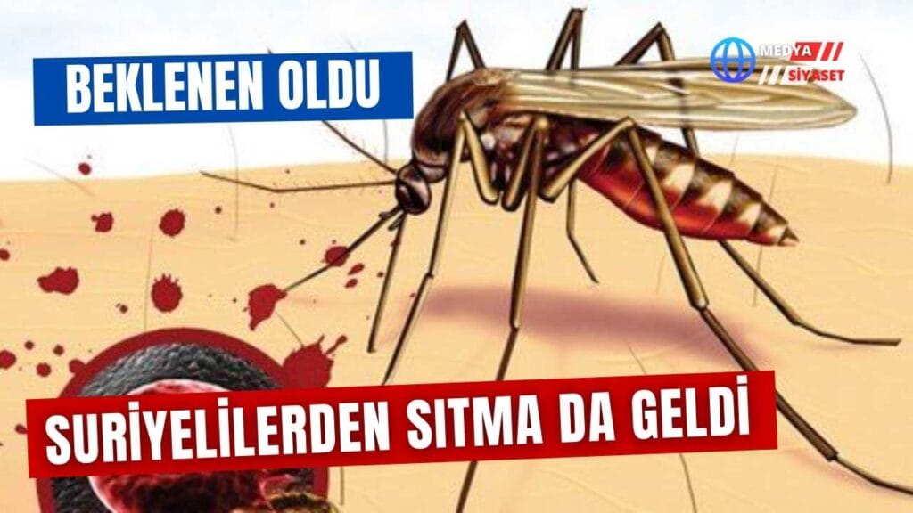 Prof. Dr. Alptekin: Yurt dışı kaynaklı sıtma vakalarında artış görülüyor