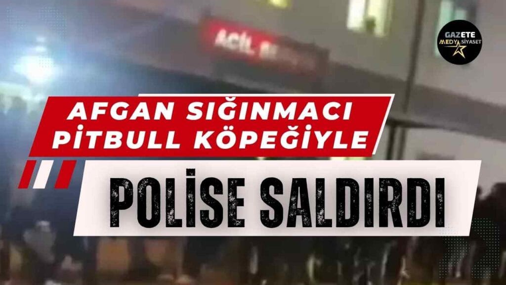 Bir Afgan, bir Türk polise pitbull köpekle saldırdı… Polis silah çekip vurdu