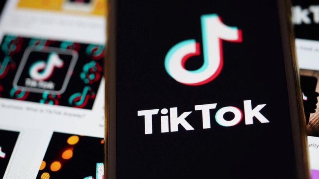 TikTok’taki ‘Atatürk’ akımı tartışma yarattı: TikTok hesabınız etkileşim alacak diye Atatürk’ü meze edemezsiniz!
