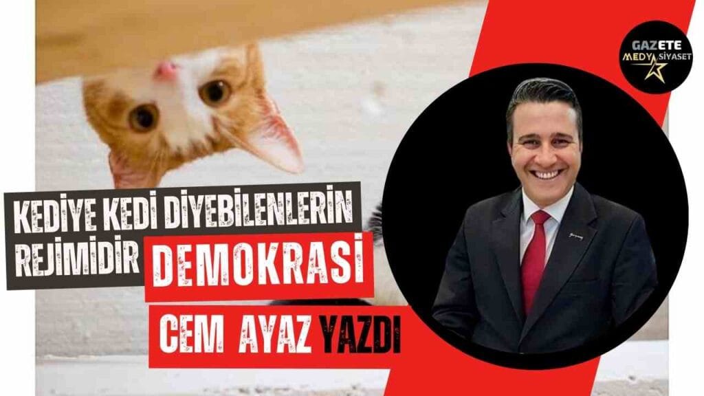 Kediye kedi diyebilen kaç kişiyiz?