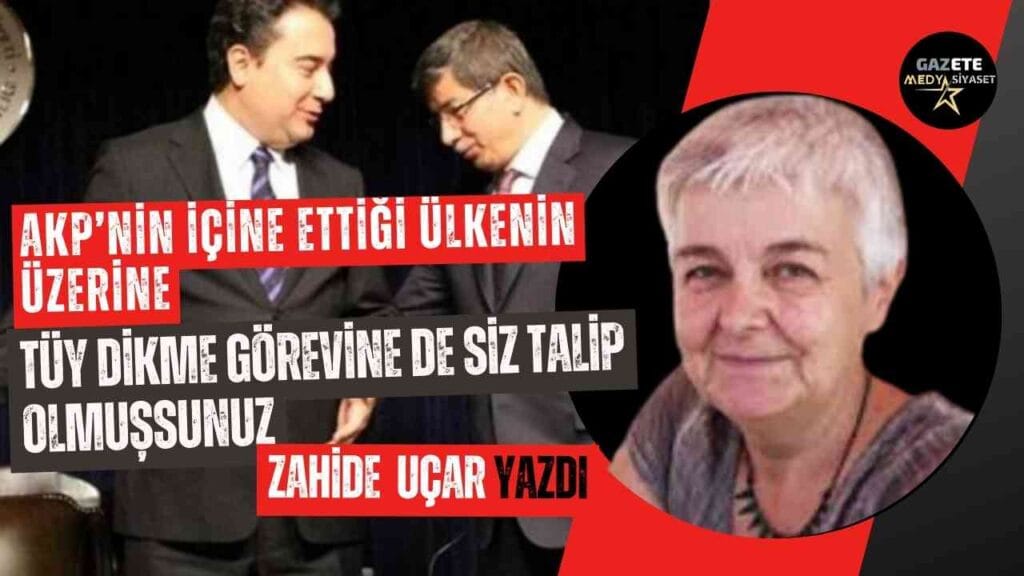 Kendini dev aynasında gören iki deve