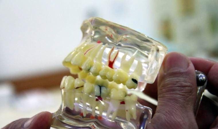 Sahte doktor ve sahte psikologdan sonra Erzincan’da sahte diş hekimi 10 kişiyi dolandırdı