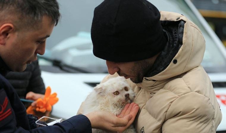 Diyarbakır’da çöken iş merkezinin enkazından bir kedi kurtarıldı