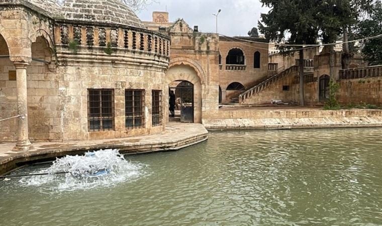 Balıklgöl’ün suyu normalleşmeye başladı, balıklar yeniden ortaya çıktı