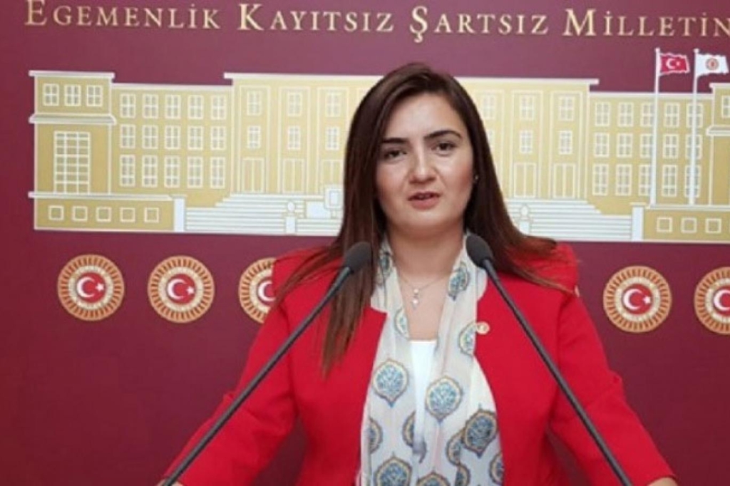 CHP İzmir Milletvekili Sevda Erdan Kılıç: İlkokul tacizcisi serbest!