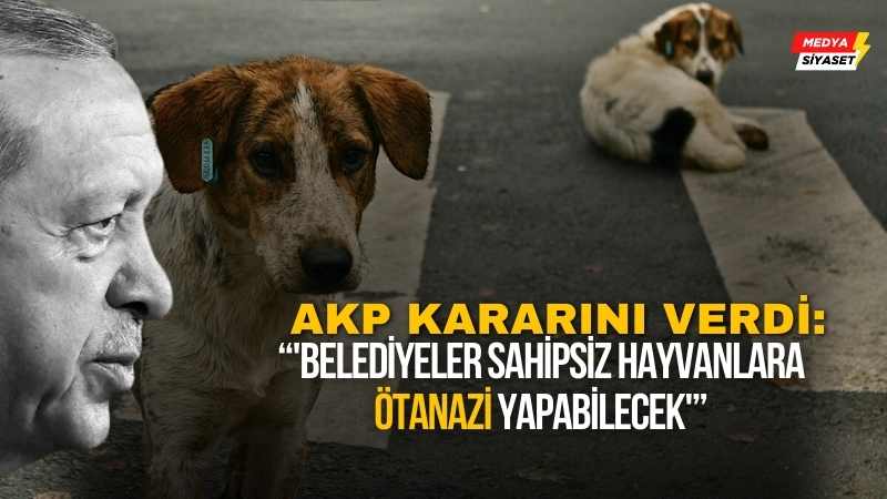 AKP Grup Başkanvekili Bahadır Yenişehirlioğlu muhalefeti bilgilendirdi: ‘Belediyeler sahipsiz hayvanlara ötanazi yapabilecek’