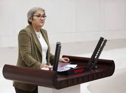 CHP Sakarya Milletvekili Ayça Taşkent:‘2 çocuktan biri yoksul’