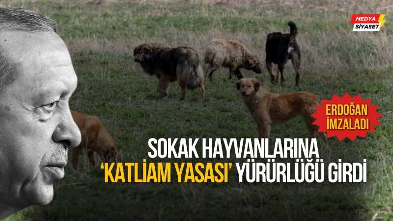 Beklenen oldu… Sokak hayvanlarına ‘Katliam’ kanunu Erdoğan’ın onayıyla resmen yürürlüğe girdi