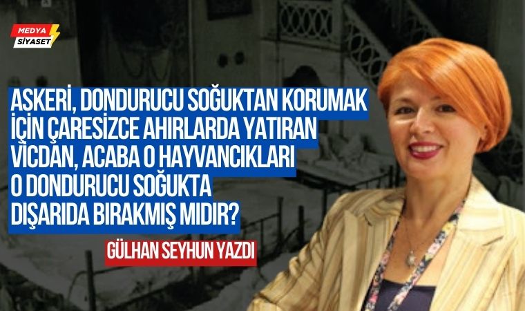 Askerler Neden Camiyi Koğuş, Ahırı Hastane Yaptılar? – Gülhan Seyhun Yazdı