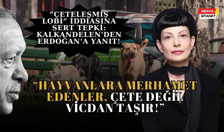 “Çeteleşmiş Lobi” İddiasına Sert Tepki: Zülâl Kalkandelen’den Erdoğan’a Yanıt!