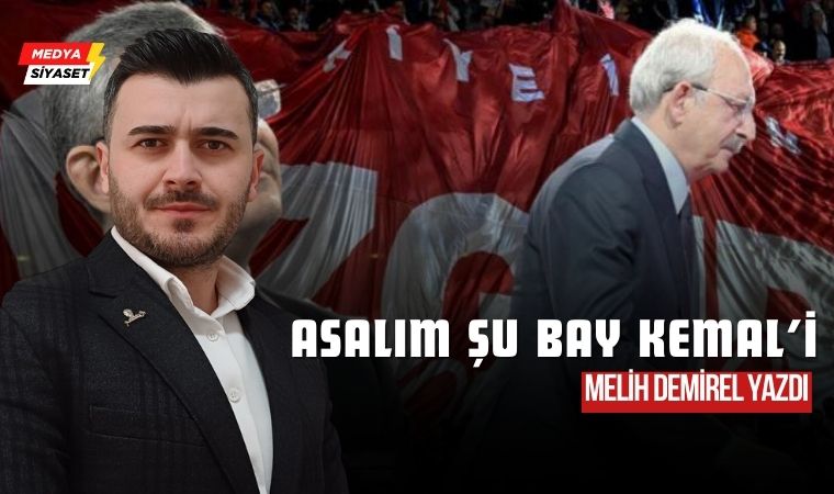 Resmin Büyüğü, Madalyonun Öteki Yüzü – Melih Demirel Yazdı