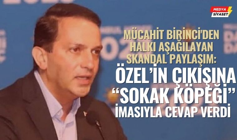 Topluma Hakaret! Mücahit Birinci: “Sokak Köpeklerini Sokağa Çıkarmakla Tehdit Ediyor”